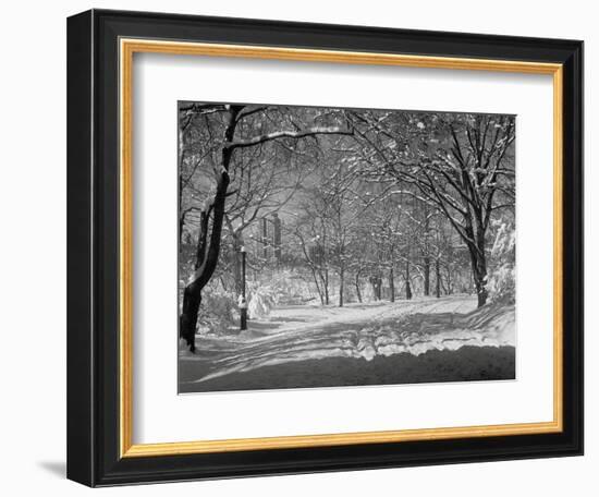 Central Park in Winter-Bettmann-Framed Photographic Print