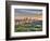 Central Park, Manhattan, New York City, USA-Jon Arnold-Framed Photographic Print