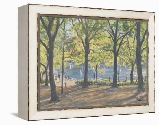 Central Park,New York, 2010-Julian Barrow-Framed Premier Image Canvas