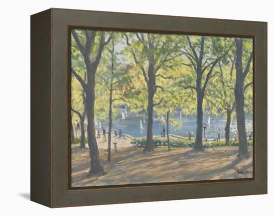 Central Park,New York, 2010-Julian Barrow-Framed Premier Image Canvas