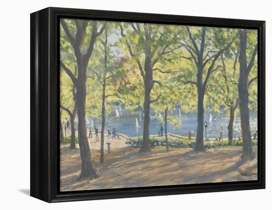 Central Park,New York, 2010-Julian Barrow-Framed Premier Image Canvas