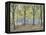 Central Park,New York, 2010-Julian Barrow-Framed Premier Image Canvas