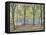 Central Park,New York, 2010-Julian Barrow-Framed Premier Image Canvas