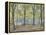 Central Park,New York, 2010-Julian Barrow-Framed Premier Image Canvas