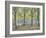 Central Park,New York, 2010-Julian Barrow-Framed Giclee Print