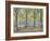 Central Park,New York, 2010-Julian Barrow-Framed Giclee Print