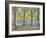 Central Park,New York, 2010-Julian Barrow-Framed Giclee Print