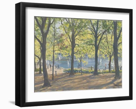 Central Park,New York, 2010-Julian Barrow-Framed Giclee Print