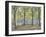 Central Park,New York, 2010-Julian Barrow-Framed Giclee Print