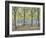 Central Park,New York, 2010-Julian Barrow-Framed Giclee Print