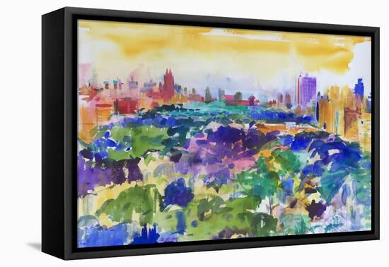 Central Park, New York, 2011-Peter Graham-Framed Premier Image Canvas