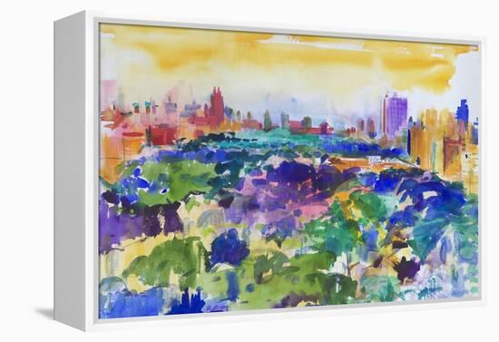 Central Park, New York, 2011-Peter Graham-Framed Premier Image Canvas