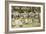 Central Park, New York City, July 4Th, C.1900-03-Maurice Brazil Prendergast-Framed Giclee Print