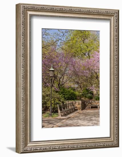 Central Park, New York City, New York, USA-Lisa S. Engelbrecht-Framed Photographic Print