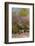 Central Park, New York City, New York, USA-Lisa S. Engelbrecht-Framed Photographic Print