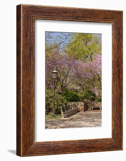 Central Park, New York City, New York, USA-Lisa S. Engelbrecht-Framed Photographic Print