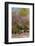 Central Park, New York City, New York, USA-Lisa S. Engelbrecht-Framed Photographic Print