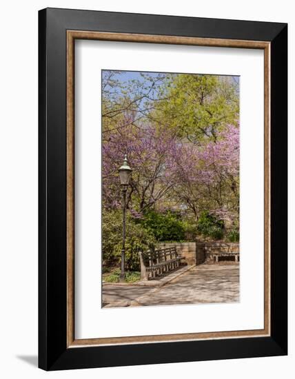 Central Park, New York City, New York, USA-Lisa S. Engelbrecht-Framed Photographic Print