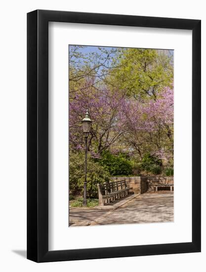 Central Park, New York City, New York, USA-Lisa S. Engelbrecht-Framed Photographic Print