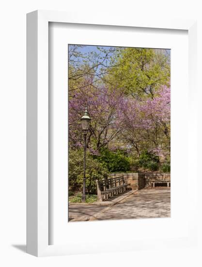 Central Park, New York City, New York, USA-Lisa S. Engelbrecht-Framed Photographic Print