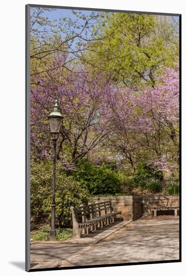 Central Park, New York City, New York, USA-Lisa S. Engelbrecht-Mounted Photographic Print