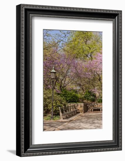 Central Park, New York City, New York, USA-Lisa S. Engelbrecht-Framed Photographic Print