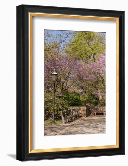 Central Park, New York City, New York, USA-Lisa S. Engelbrecht-Framed Photographic Print