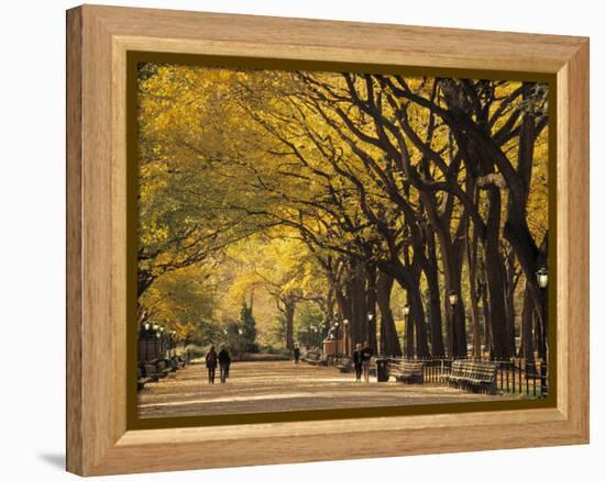 Central Park, New York City, Ny, USA-Walter Bibikow-Framed Premier Image Canvas