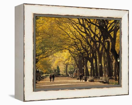 Central Park, New York City, Ny, USA-Walter Bibikow-Framed Premier Image Canvas