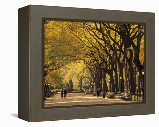 Central Park, New York City, Ny, USA-Walter Bibikow-Framed Premier Image Canvas