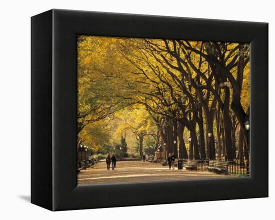 Central Park, New York City, Ny, USA-Walter Bibikow-Framed Premier Image Canvas