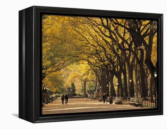 Central Park, New York City, Ny, USA-Walter Bibikow-Framed Premier Image Canvas