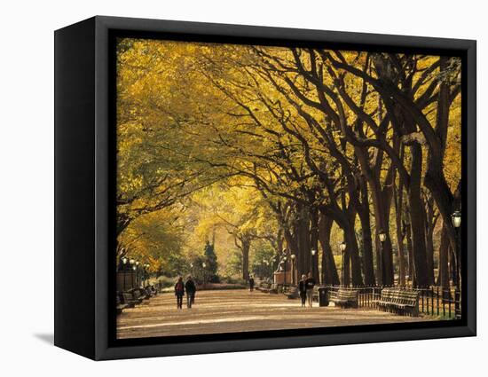 Central Park, New York City, Ny, USA-Walter Bibikow-Framed Premier Image Canvas