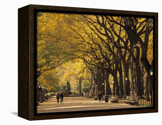 Central Park, New York City, Ny, USA-Walter Bibikow-Framed Premier Image Canvas