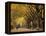 Central Park, New York City, Ny, USA-Walter Bibikow-Framed Premier Image Canvas