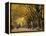 Central Park, New York City, Ny, USA-Walter Bibikow-Framed Premier Image Canvas