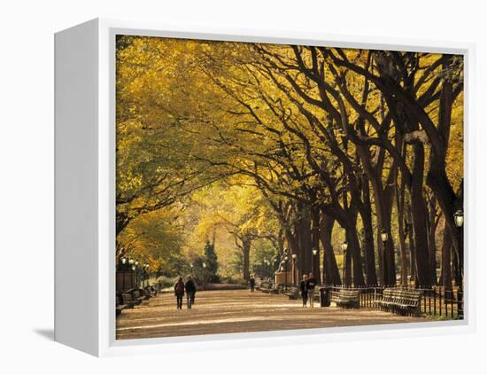 Central Park, New York City, Ny, USA-Walter Bibikow-Framed Premier Image Canvas