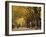 Central Park, New York City, Ny, USA-Walter Bibikow-Framed Premium Photographic Print