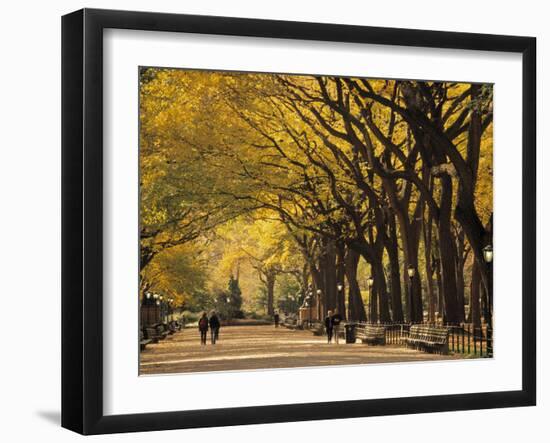 Central Park, New York City, Ny, USA-Walter Bibikow-Framed Premium Photographic Print