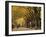 Central Park, New York City, Ny, USA-Walter Bibikow-Framed Premium Photographic Print