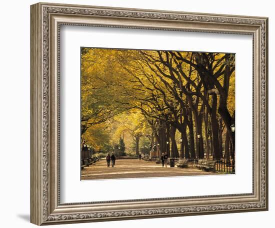 Central Park, New York City, Ny, USA-Walter Bibikow-Framed Photographic Print