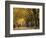 Central Park, New York City, Ny, USA-Walter Bibikow-Framed Photographic Print