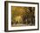 Central Park, New York City, Ny, USA-Walter Bibikow-Framed Photographic Print