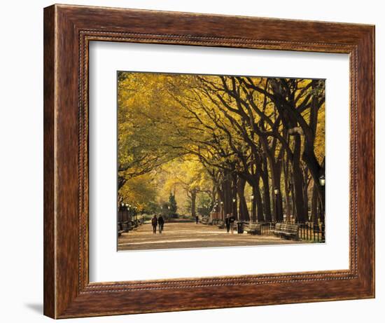 Central Park, New York City, Ny, USA-Walter Bibikow-Framed Photographic Print