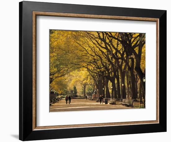 Central Park, New York City, Ny, USA-Walter Bibikow-Framed Photographic Print