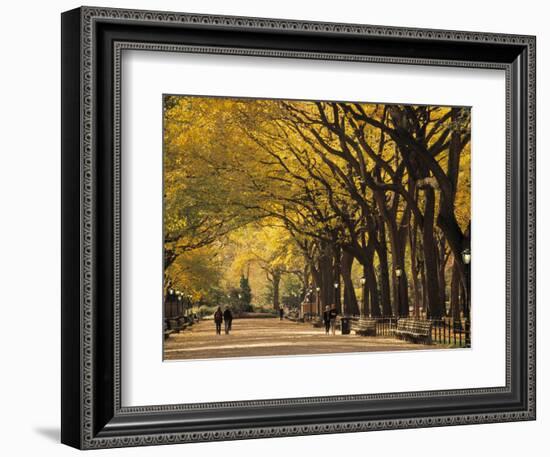 Central Park, New York City, Ny, USA-Walter Bibikow-Framed Photographic Print