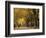 Central Park, New York City, Ny, USA-Walter Bibikow-Framed Photographic Print