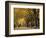 Central Park, New York City, Ny, USA-Walter Bibikow-Framed Photographic Print