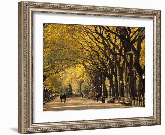 Central Park, New York City, Ny, USA-Walter Bibikow-Framed Photographic Print