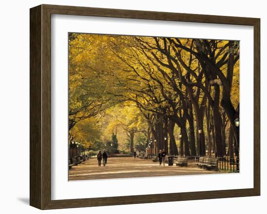 Central Park, New York City, Ny, USA-Walter Bibikow-Framed Photographic Print